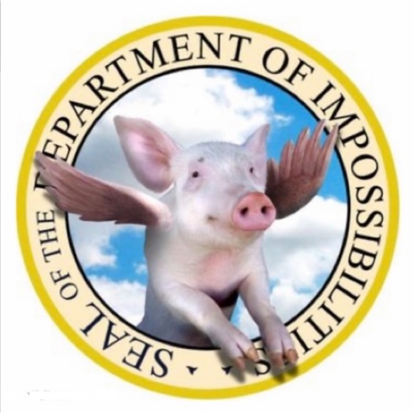 SPOTS OPEN JODI’S FLYING PIGS SHARE GROUP INFO PAGE - Picture 12 of 15